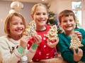 https://www.dreamstime.com/stock-images-three-children-showing-decorated-christmas-cookies-camera-smiling-image41521224