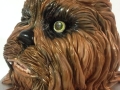 chubacca head
