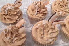 cupcake decorating classes