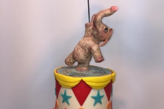 cake decorating classes