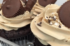 everything cupcakes