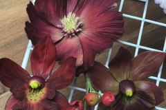 gumpaste flowers