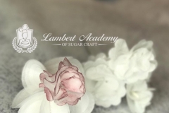 gumpaste flowers