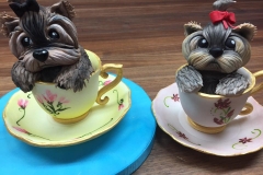 teacup yorkie gumpaste classes