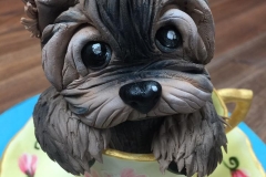 teacup yorkie gumpaste classes