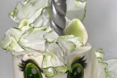 cake decorating classes