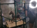 Lesi airbrushing house